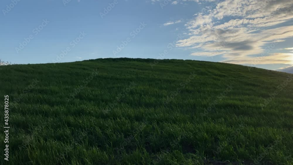 Static image; natural landscape of green field on background of blue cloudy sky. Nature concept. Static image; natural landscape of green field on background of blue cloudy sky. Nature concept.