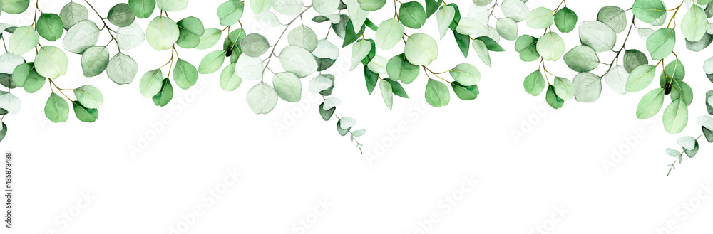seamless border, frame of eucalyptus leaves and branches. watercolor drawing green leaves of eucalyptus on white background. print for wedding, invitations, congratulations. web banner - obrazy, fototapety, plakaty 