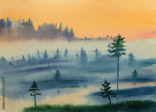 yellow fog in the forest