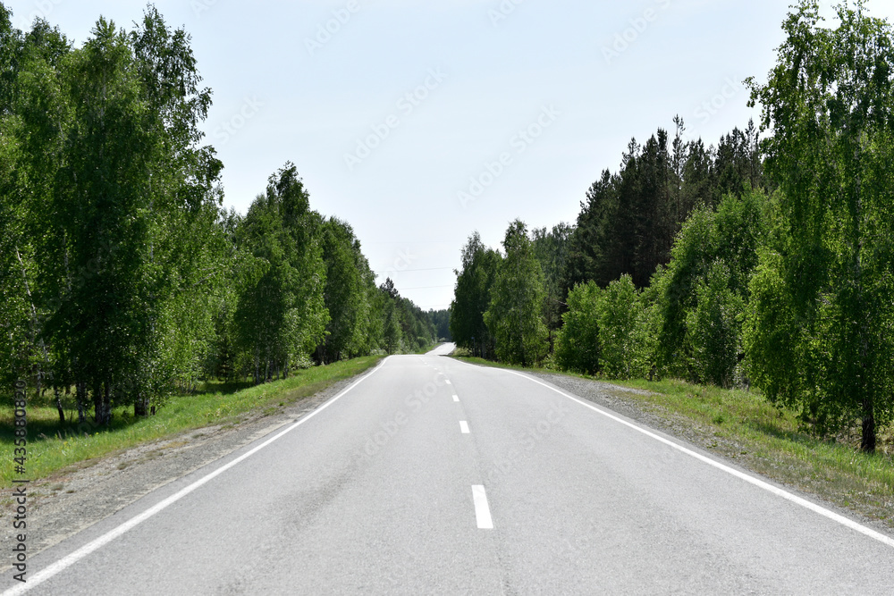 High speed asphalt road highway in the afternoon in the forest High speed asphalt road highway in the afternoon in the forest