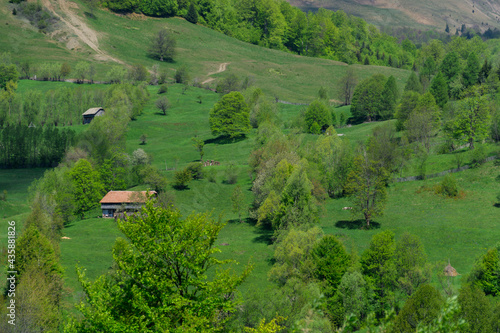Sheepfold on the hill