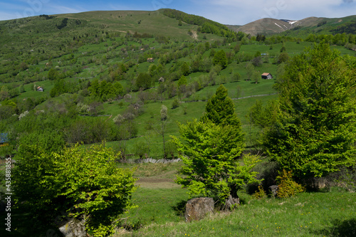 Landscape with trees and mountains