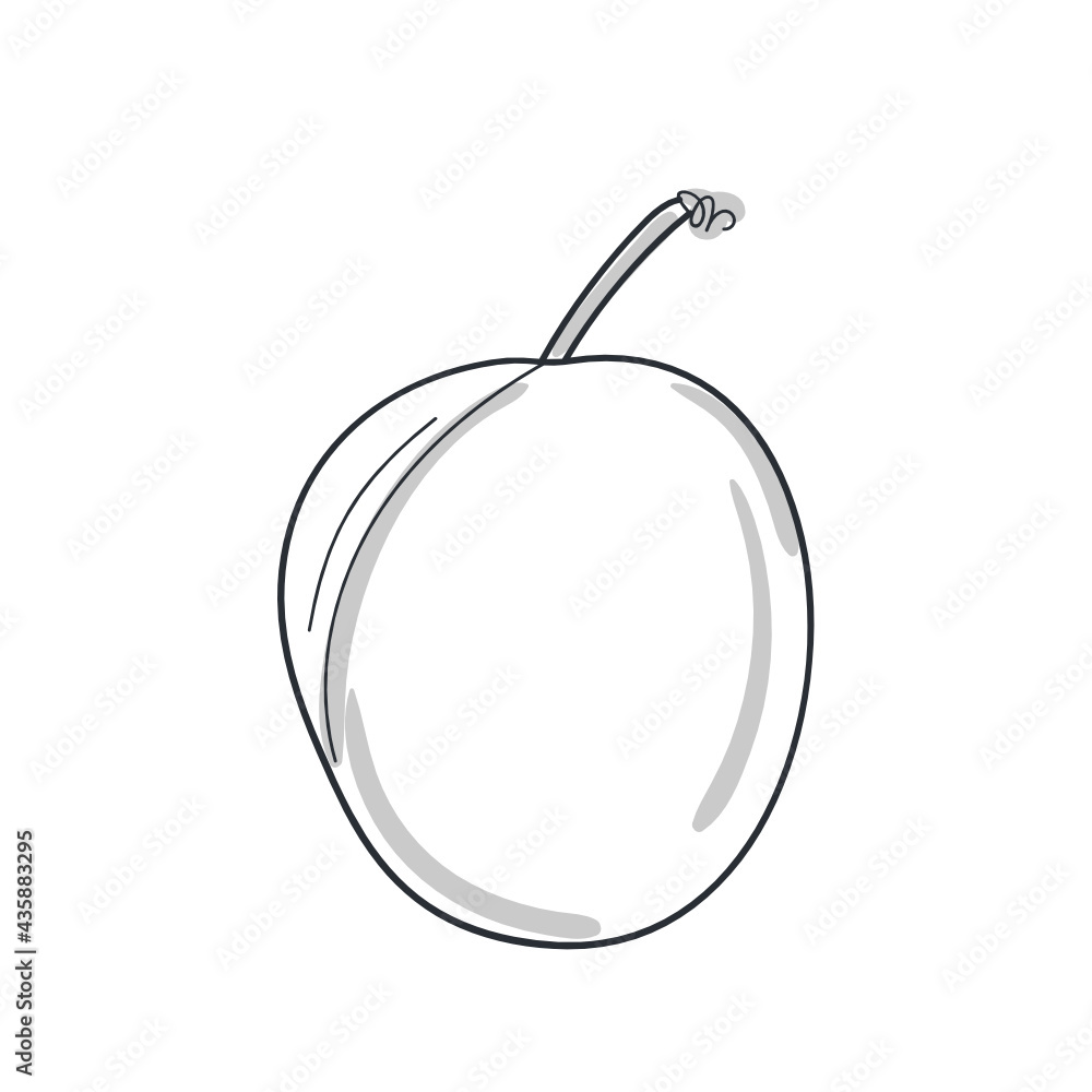 plum fruit line vector illustration plum fruit line vector illustration