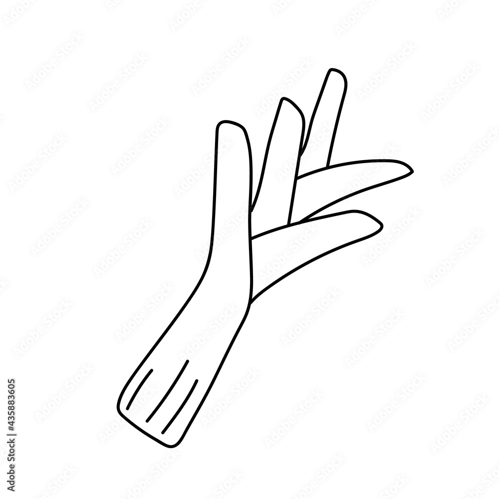 Fototapeta premium Doodle outline leeks. Vegetarian healthy food. Vegan, farm, organic, natural. Vector illustration for icon, logo, print, icon, card, emblem, label, food menu