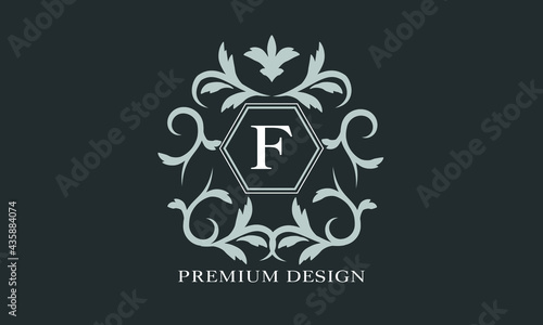 Premium linear logo. Monogram with letter F. Elegant icon. Luxury alphabet frame symbol.