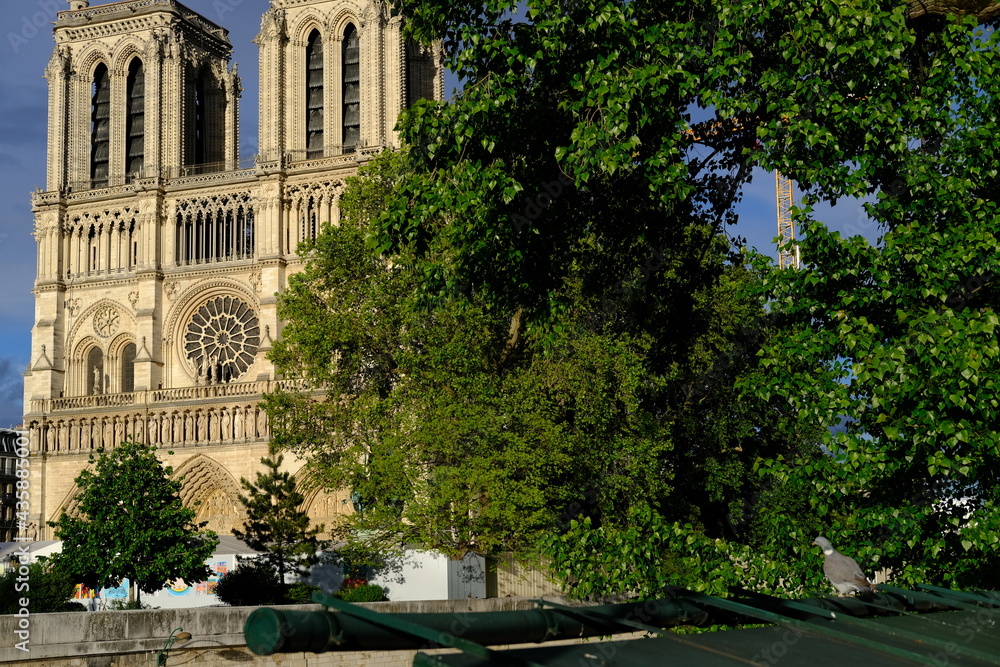 Paris, France - May the 24th 2021: A nice sunlight on the facade of Notre Dame de Paris.