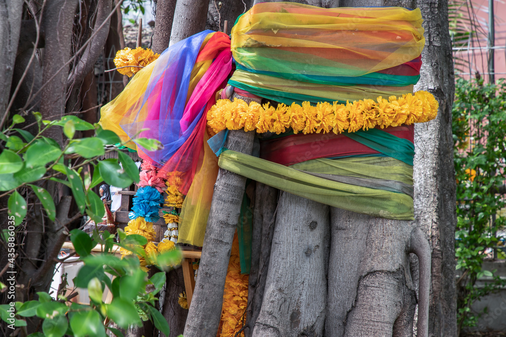 Marigold flower garlands and Fabric colors Colorful wrapped around the tree The multicolored cloth tied around a tree is the belief of the Thai villagers. Selective focus.