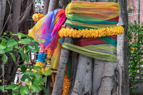Marigold flower garlands and Fabric colors Colorful wrapped around the tree The multicolored cloth tied around a tree is the belief of the Thai villagers. Selective focus. © num