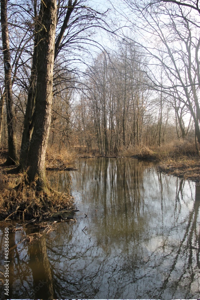 River in the winter in Czech ountryside River in the winter in Czech ountryside