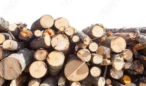 stack of wood for fire isolated on white background