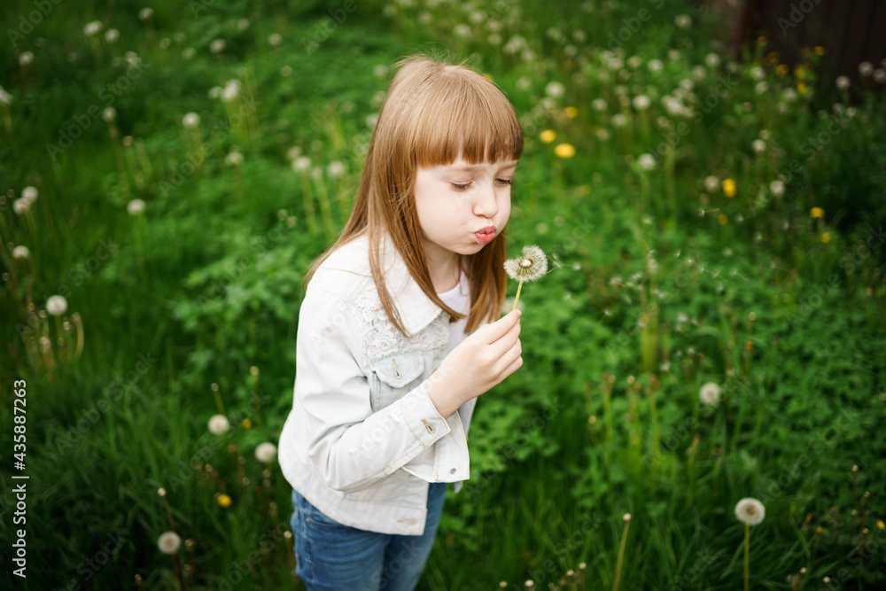 cute little girl blowing on a dandelion in a green garden cute little girl blowing on a dandelion in a green garden
