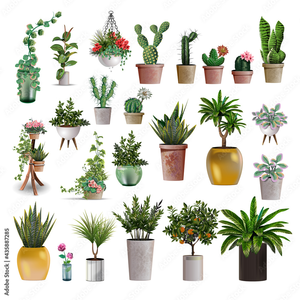 Big collection of vector realistic detailed house or office plant for interior design and decoration. Tropical and Mediterranean plant and flowers plant cactus for interior design and decoration Big collection of vector realistic detailed house or office plant for interior design and decoration. Tropical and Mediterranean plant and flowers plant cactus for interior design and decoration
