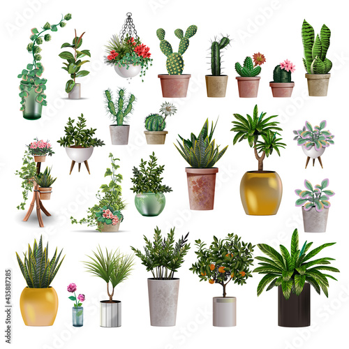 Big collection of vector realistic detailed house or office plant for interior design and decoration. Tropical and Mediterranean plant and flowers plant cactus for interior design and decoration