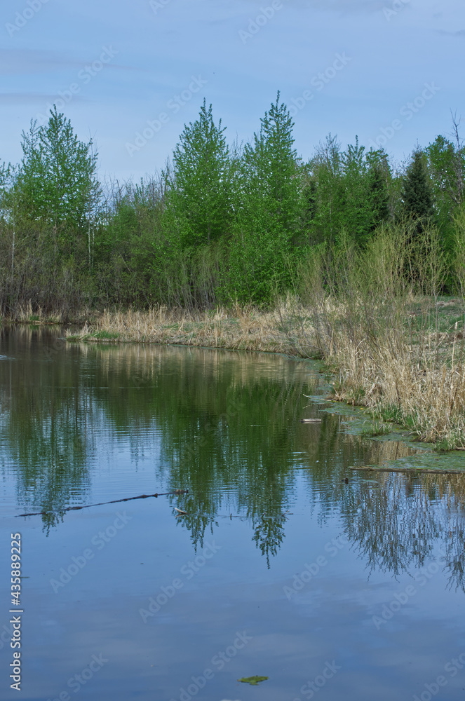 Pylypow Wetlands in the Spring