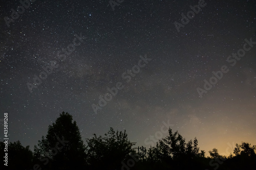 night starry sky with milky way above forest silhouette