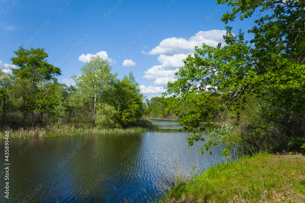 small river with forest on the coast, natural countryside landscape small river with forest on the coast, natural countryside landscape