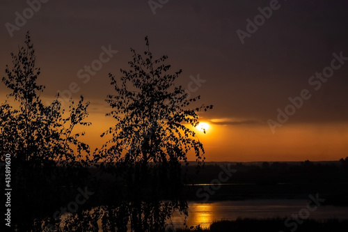 Sunset by the lake. Tree silhouette on sky background. Nature landscape © Рома Пляшко