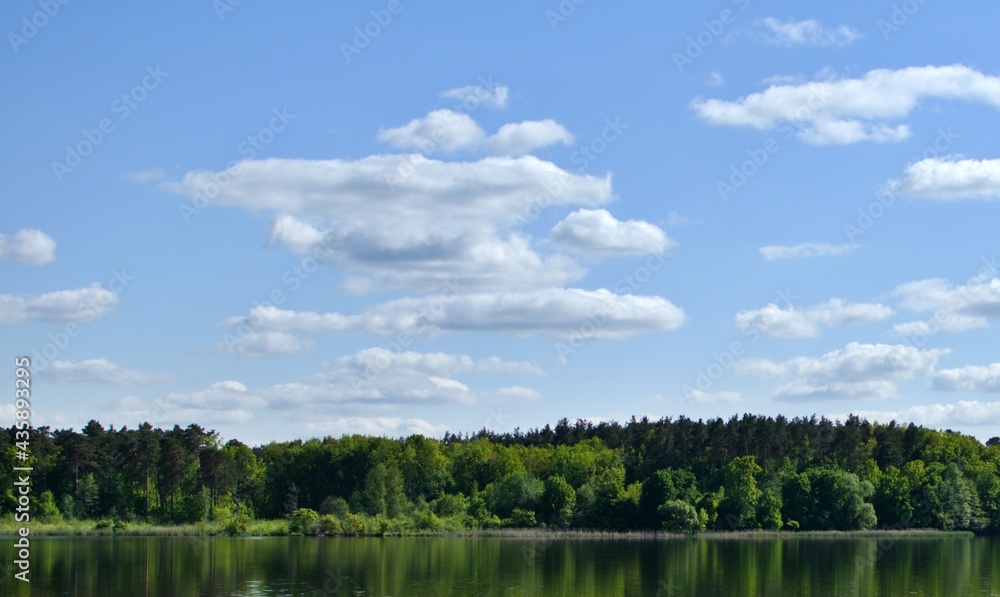 green forest with blurred reflection in river against background of white clouds on blue sky