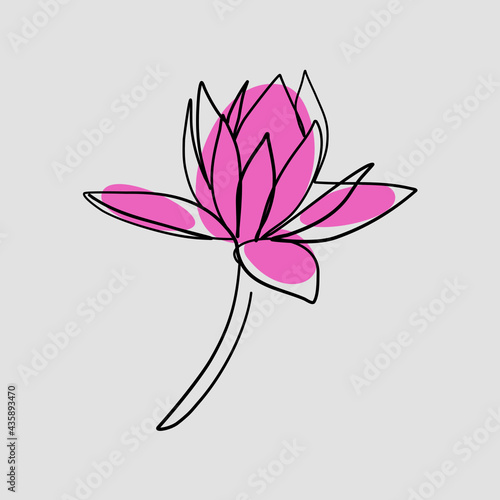 Continuous line, Pink lotus flower. Drawing of set Nature. (Vector illustration one line drawing) © Beststock Production