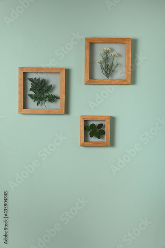 Dry flowers in a frame. walls with botanical leaves. Eco-friendly boho decor. photo