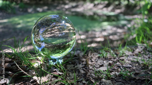 Pond reflection in a photographic lensball with green vegetation