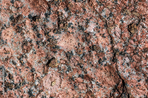 The surface and texture of the stone from the coast of the bay