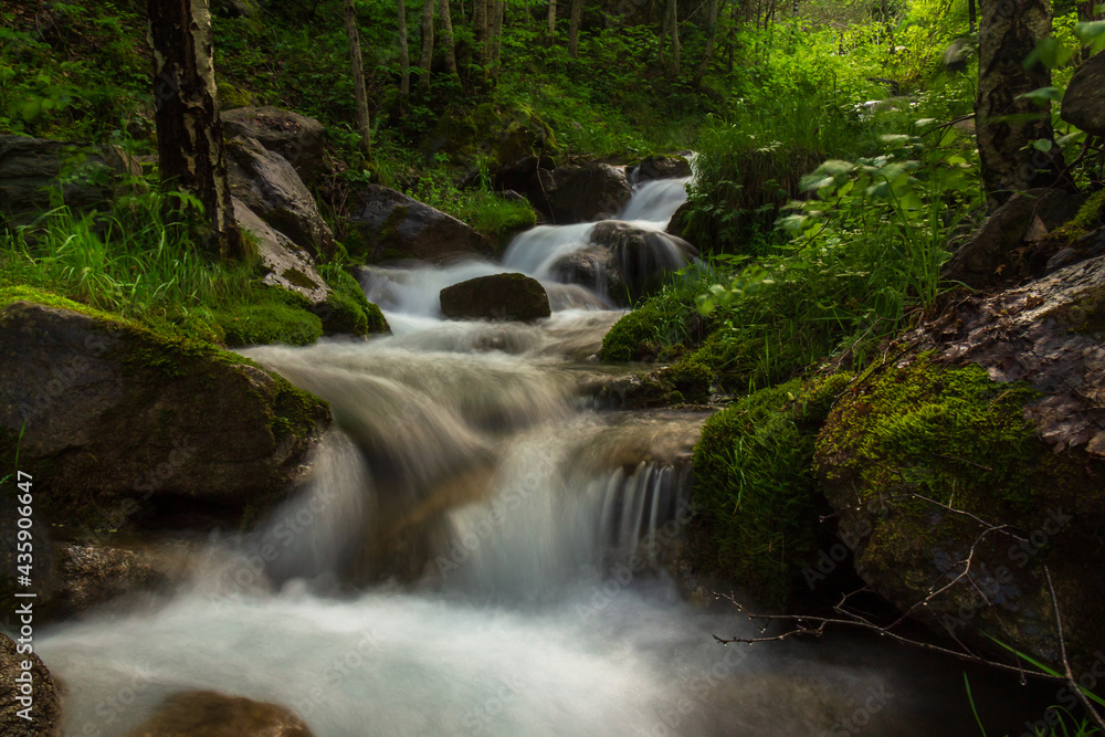 small river falling among the rocks and trees of the forest small river falling among the rocks and trees of the forest