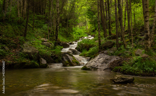 small river falling among the rocks and trees of the forest