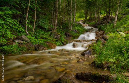 small river falling among the rocks and trees of the green  forest