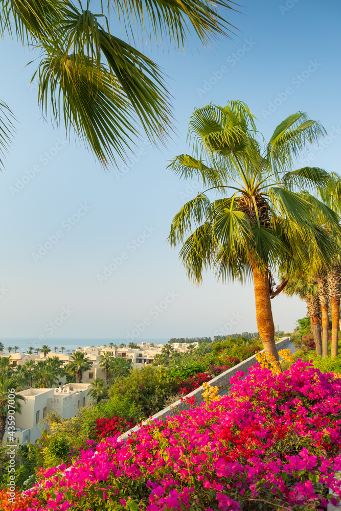 wide angle portrait view to red flowers and palm under blue sky