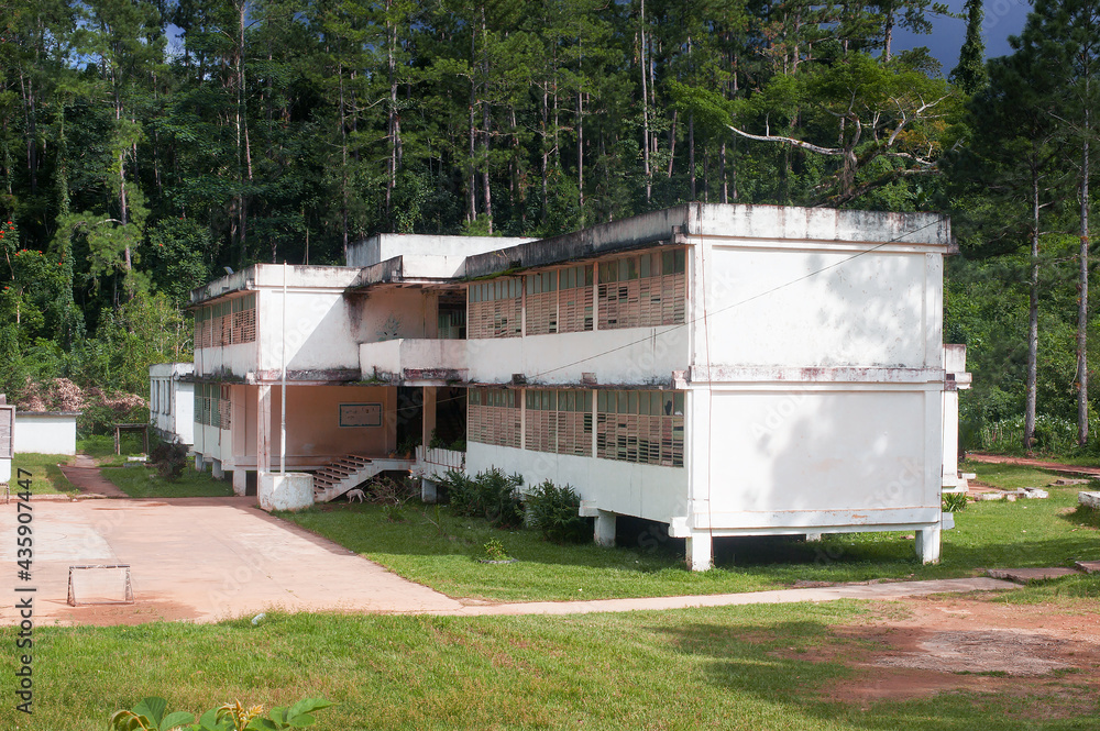 typical elementary panel school on the background of the wild jungle in a state with a planned economy typical elementary panel school on the background of the wild jungle in a state with a planned economy