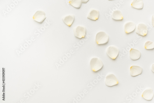 white petals on a white background, background with petals, rosehip petals