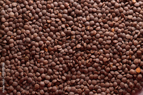 background of red lentils. scattered lentils. 