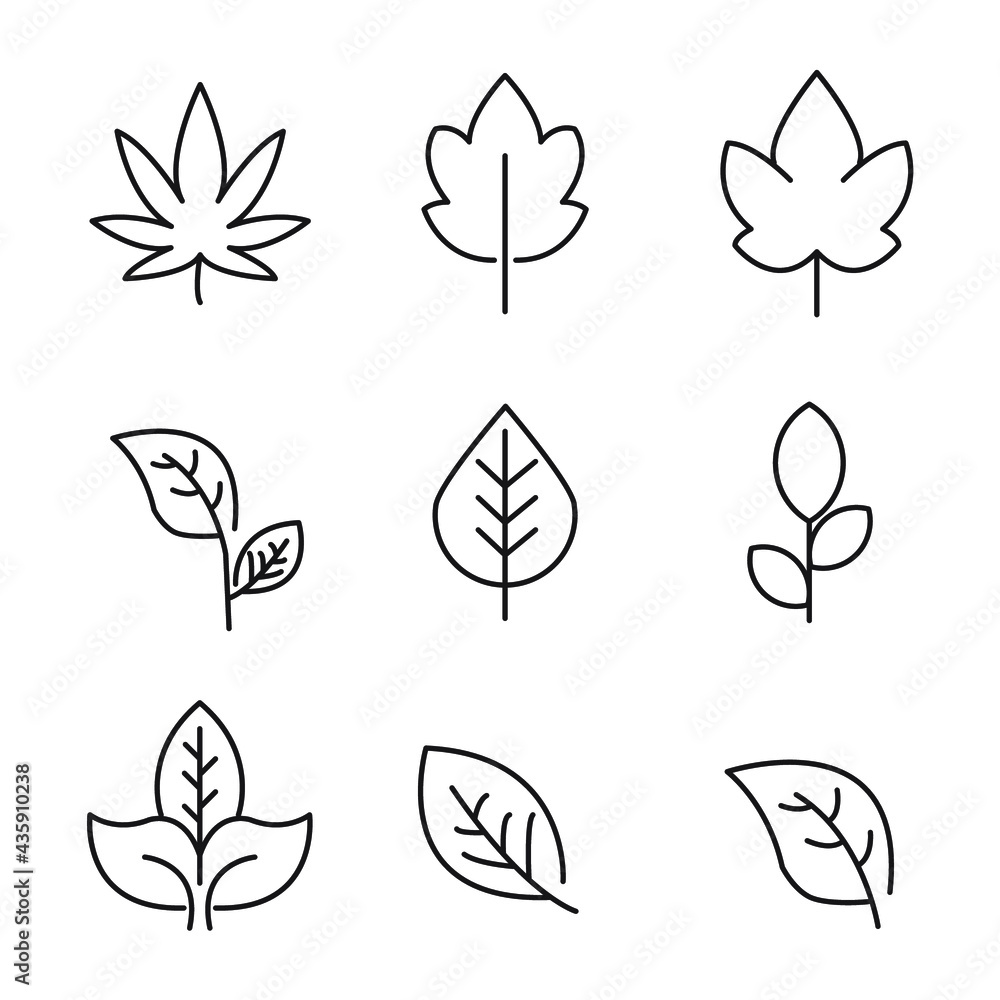 Leaf icons set. Leaf pack symbol vector elements for infographic web.
