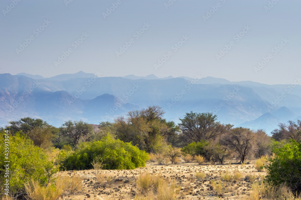 Drought forest and the mountains on the horizon in dry season. Brandberg mountain area, Namibia.
