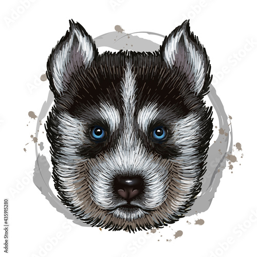 Cute husky dog puppy. Hand-drawn portrait of dog. Wall sticker.