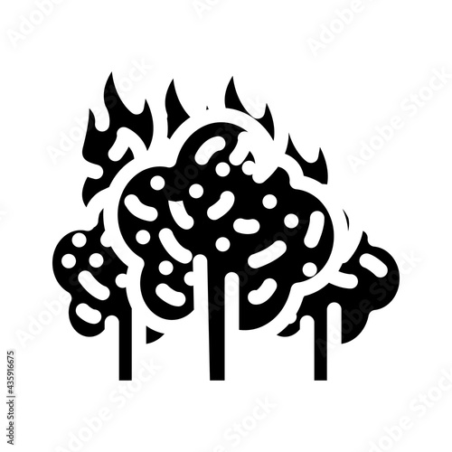 forest fire disaster glyph icon vector. forest fire disaster sign. isolated contour symbol black illustration
