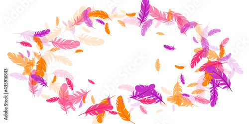 Pink violet orange feather floating vector background. Flying bird plumage pattern.