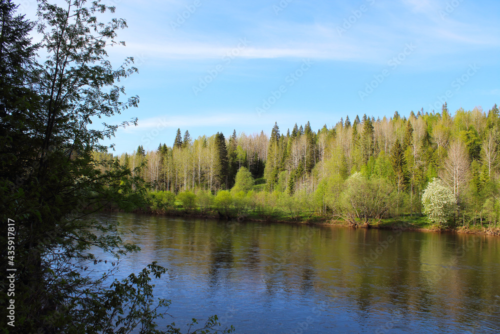 Obraz premium Beautiful river and forest. Scenery. Background.