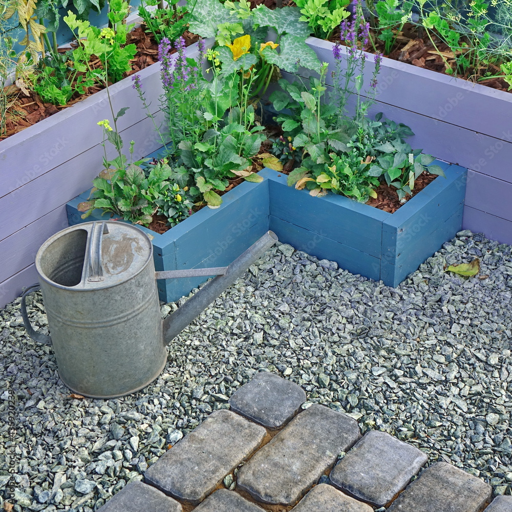 schouder leeg Trein Designed Small Decorative Garden Corner with Plants in Wooden Box and  Pebble Floor. Backyard Designed Place with Decorative Kitchen Garden.  Outdoor Mini Garden Surface For Rest and Relax. Stock Photo | Adobe