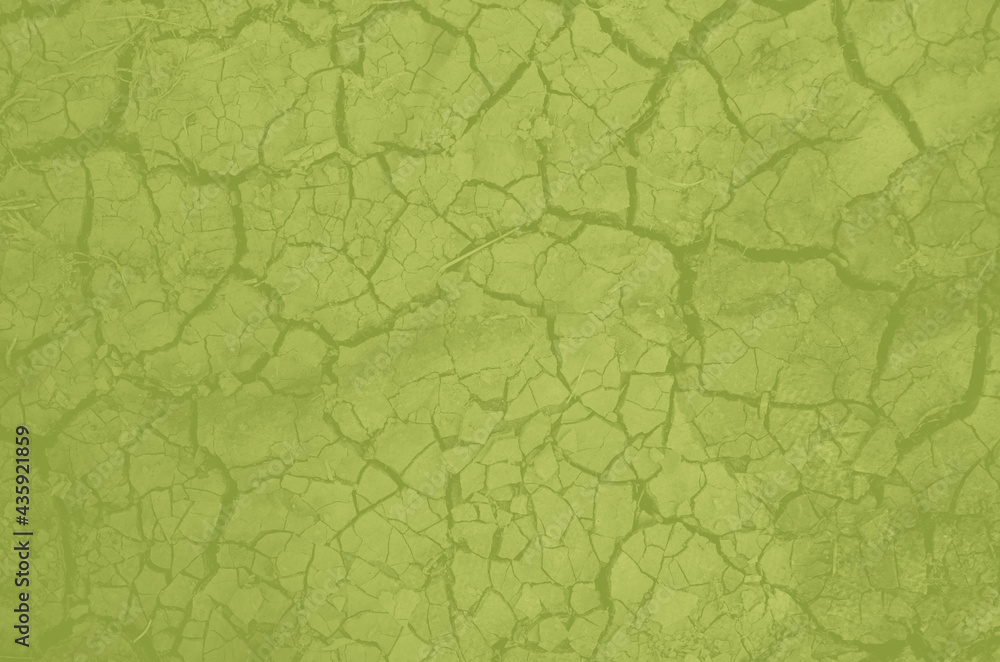 Fototapeta premium abstract olive and khaki colors background for design