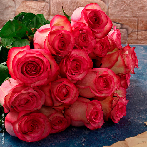 Scarlet pink roses flowers for birthday party