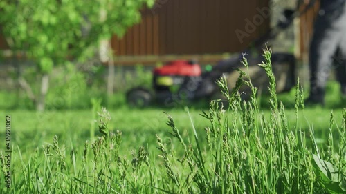 Green grass in the garden and man with lawn mower approaching in the background