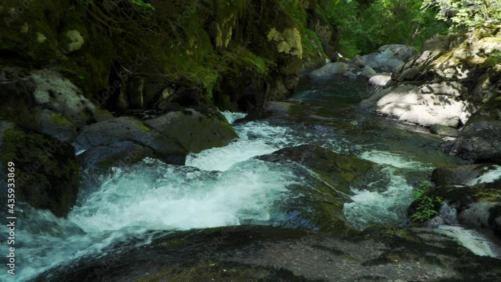 Pan down creek as water rushes through rocks, splashing over small falls between the lush forest of trees. With audio. Pan down creek as water rushes through rocks, splashing over small falls between the lush forest of trees. With audio.