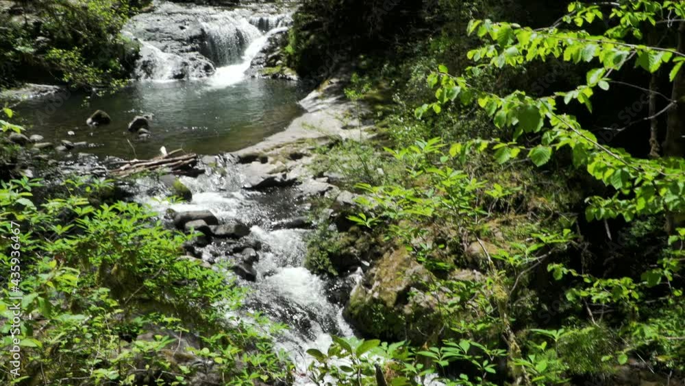 Pan from this beautiful waterfall in the lush forest with swimming hole below down the creek as water rushes over the large rocks and boulders. With audio. Pan from this beautiful waterfall in the lush forest with swimming hole below down the creek as water rushes over the large rocks and boulders. With audio.