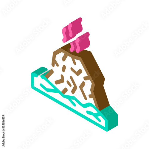eruption disaster isometric icon vector. eruption disaster sign. isolated symbol illustration