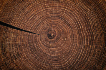 wood texture barn, stump surface cutaway background