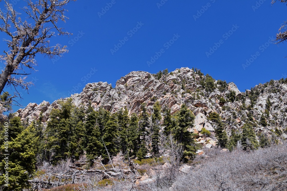 Wasatch Front Mount Olympus Peak hiking trail inspiring views in spring via Bonneville Shoreline, Rocky Mountains, Salt Lake City, Utah. United States. USA