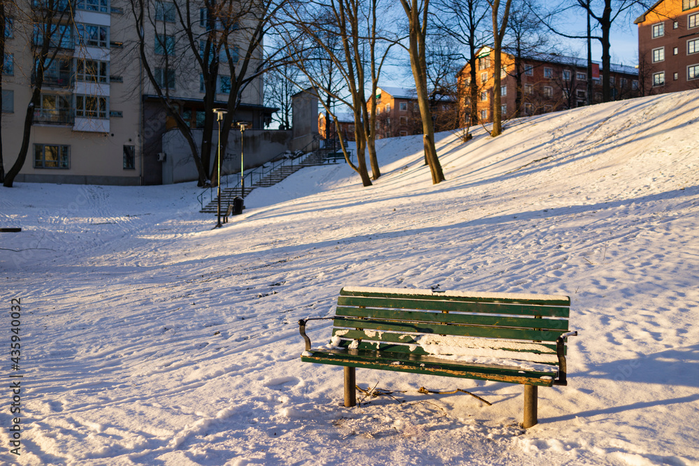 The bench in the park cover with snow