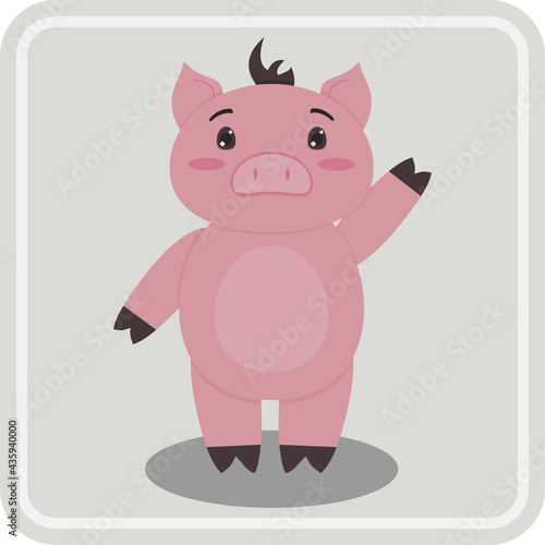 Cute pig